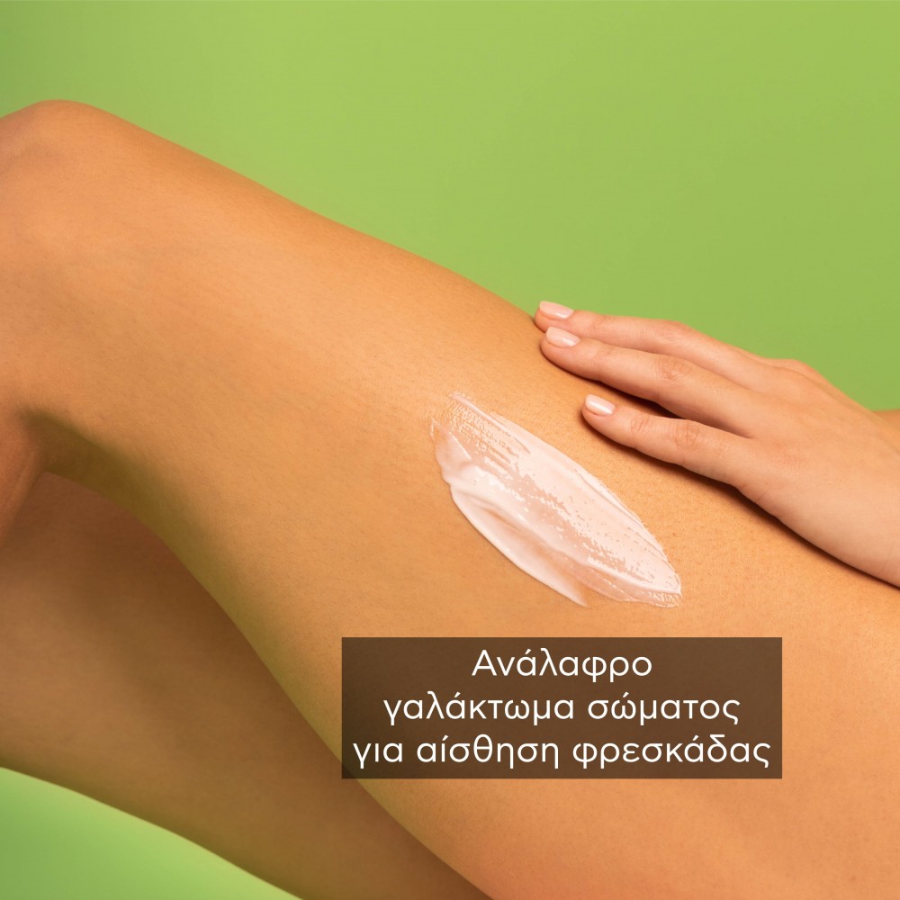 Apivita Γαλάκτωμα Σώματος Tonic Mountain Tea 200ml