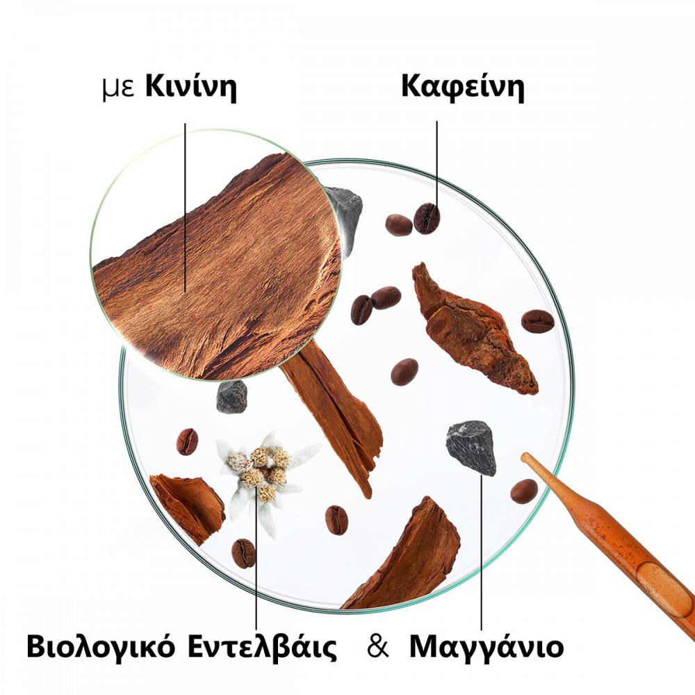 Klorane Σαμπουάν με Κινίνη και Εντελβάις για Ενδυνάμωση & κατά της Τριχόπτωσης 400ml